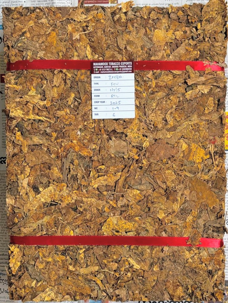 Flue Cured Virginia (Northern Light Soil)
