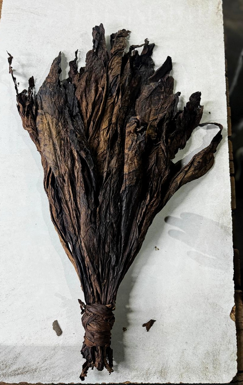DFC (Dark Fire Cured) Tobacco 